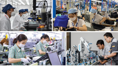 Policies setting up labor market recovery