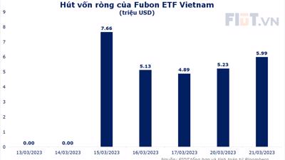 Fubon ETF đã hút được bao nhiêu tiền để mua cổ phiếu Việt Nam? 