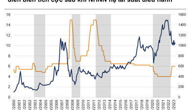 VnDirect: Chứng khoán Việt Nam đang ở cuối chu kỳ giảm và sẽ hồi phục sau khi lãi suất giảm