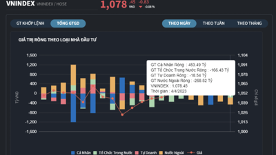 Nhà đầu tư cá nhân tung 453 tỷ đồng mua ròng, gom toàn cổ phiếu thực phẩm, đồ uống 
