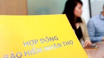 Deputy PM: Health of insurance market needs attention