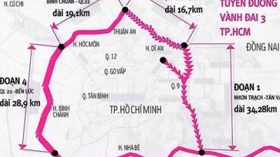 HCMC boosts disbursement of public capital
