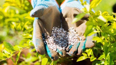 Export tariff on NPK fertilizer cut to 0%