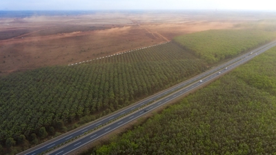 Thực hiện 13 dự án, TP.HCM cần thu hồi gần 300ha đất năm 2023