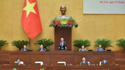 Nợ, chậm văn bản pháp luật “nóng” nghị trường