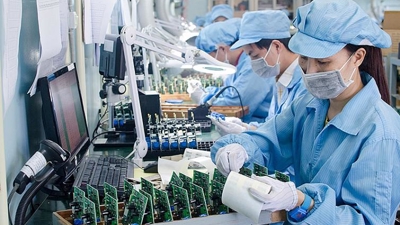 Kinh tế Việt Nam tháng 8 và 8 tháng 2023