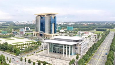 Binh Duong conducting online public services in investment