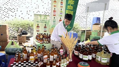 TP.HCM tổ chức Lễ hội Đặc sản bản địa Làng nghề truyền thống Việt Nam