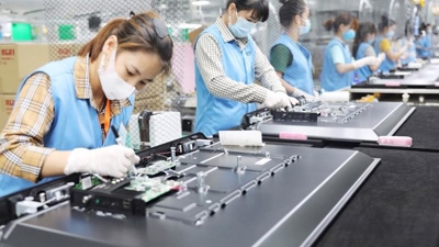 Grant Thornton Vietnam: FDI to benefit from improved global outlook
