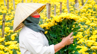 Những làng nghề tại xứ Thanh tất bật những ngày cận Tết