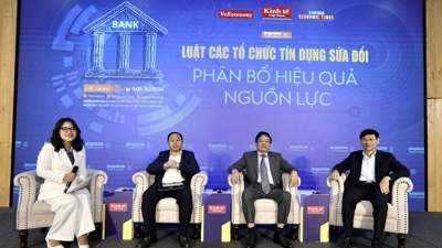 Amended Law on Credit Institutions the focus of VnEconomy online dialogue