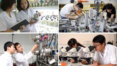 National Council for Science, Technology and Innovation established