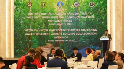 Vietnam & US strengthen cooperation in combating illegal timber trade