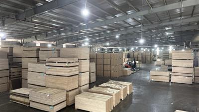 Hàn Quốc chưa khách quan khi điều tra gỗ dán Việt Nam, nhiều doanh nghiệp có nguy cơ chịu thuế oan