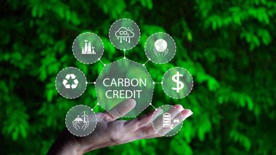 Vietnam Intensifies Carbon Credit Management to Fulfill Nationally Determined Contributions