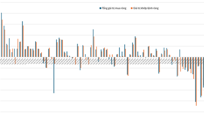 Khối ngoại bán ròng kỷ lục trong tháng 5, cá nhân trong nước "cân" tất 