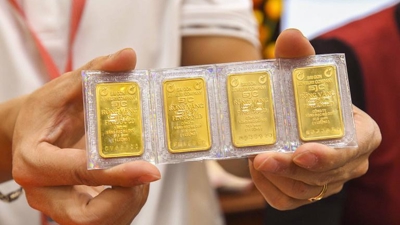 Domestic gold price drops by $19.4 per tael