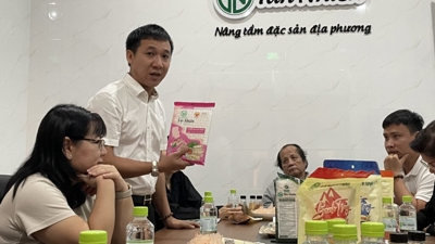 Cuộc thi Khởi nghiệp Xanh 2024 đã chọn được 119 dự án vào bán kết 