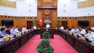 Law amendments need to facilitate production and business activities: PM