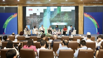 Phát huy giá trị nguồn lợi từ rừng gắn với mục tiêu Net Zero và phát triển bền vững