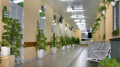 Xây dựng một hệ thống chăm sóc sức khỏe xanh, bền vững và chống chịu biến đổi khí hậu 