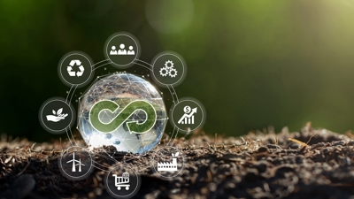 Vietnam Circular Economy Forum 2024: Real-world application