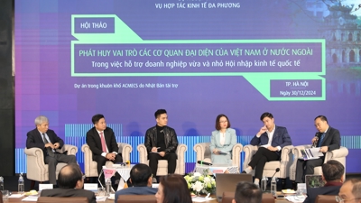 Tăng cường vai trò của các cơ quan đại diện Việt Nam ở nước ngoài