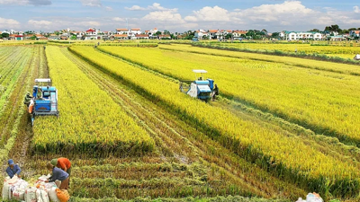 15-year land rental exemption proposed for agribusiness