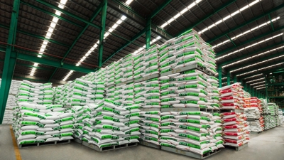 Greenfeed giữ vững đà tăng trưởng bền vững 