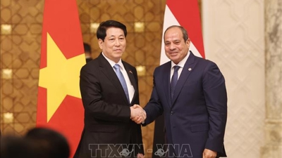 Tuyên bố chung nâng cấp quan hệ Đối tác Toàn diện Việt Nam - Ai Cập