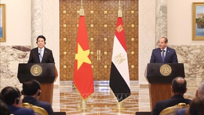 Nâng cấp quan hệ Việt Nam - Ai Cập lên Đối tác toàn diện