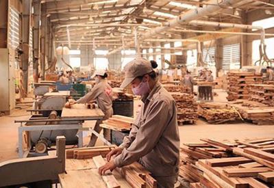 Phấn đấu kim ngạch xuất khẩu sản phẩm gỗ đạt 18-20 tỷ USD vào 2025