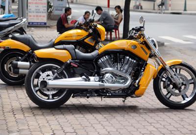 Bộ đôi Harley Davidson Muscle khoe dáng