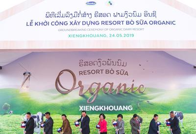 Vinamilk xây dựng Tổ hợp "Resort" bò sữa Organic quy mô 5.000ha tại Lào