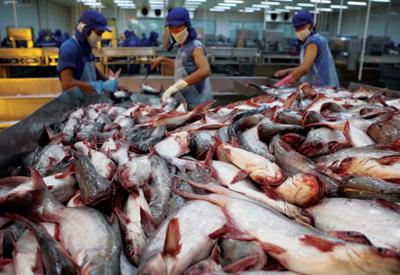 Xem xét khởi kiện lên Tòa án thương mại quốc tế Mỹ về vụ  thuế cá tra