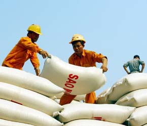 “Không lo gạo xuất khẩu rớt giá!”
