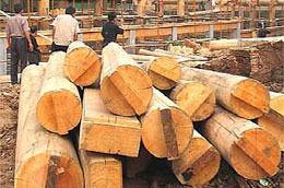 Xuất khẩu gỗ trái Luật Lacey có thể bị phạt đến 500.000 USD