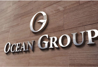 Công ty tài chính Điện lực kiện đòi OGC 115 tỷ đồng