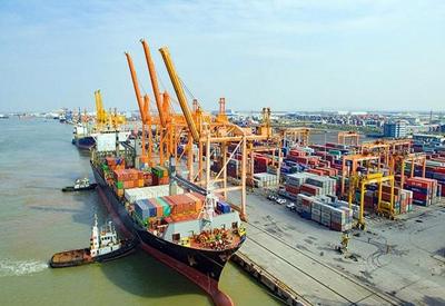 Sát ngày khởi động, bến cảng container Lạch Huyện gần 7.000 tỷ đồng vẫn còn nhiều ngổn ngang