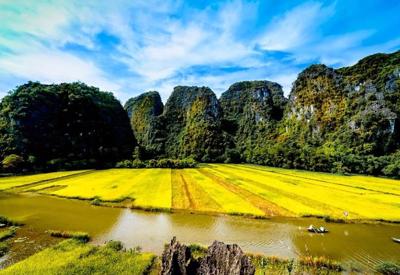 Dừng tổ chức Tuần Du lịch "Sắc vàng Tam Cốc-Tràng An" tại Ninh Bình