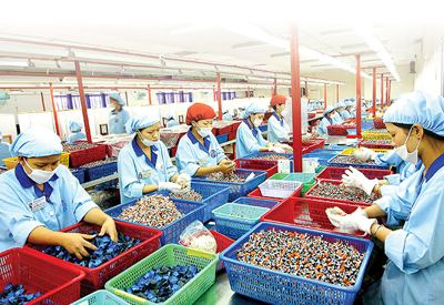  IFC cung cấp gần 1,1 tỷ USD hỗ trợ doanh nghiệp Việt phục hồi chuỗi cung ứng