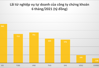 “Soi” danh mục của những công ty chứng khoán lãi kỷ lục mảng tự doanh