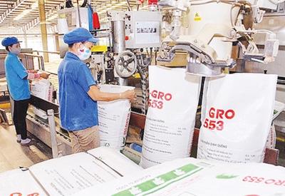 Choáng váng với giá thức ăn chăn nuôi tăng phi mã