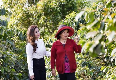 King Coffee công bố dự án liên kết các nhà cung ứng nông sản