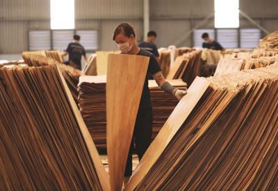 4 sản phẩm từ gỗ có nguy cơ bị áp dụng các biện pháp phòng vệ thương mại tại Hoa Kỳ