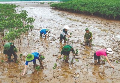 ADB tài trợ 60 triệu USD để Việt Nam cải thiện hạ tầng, thích ứng với biến đổi khí hậu