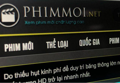 “Vi phạm của Phimmoi có thể gây thiệt hại hàng chục triệu USD”