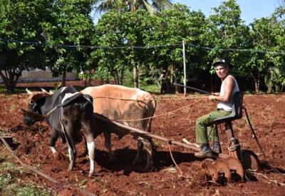 Việt Nam hỗ trợ Cuba phát triển sản xuất nông nghiệp, thủy sản