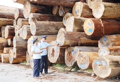 Sẵn sàng phục hồi sản xuất, các doanh nghiệp ngành gỗ tăng cường nhập khẩu nguyên liệu