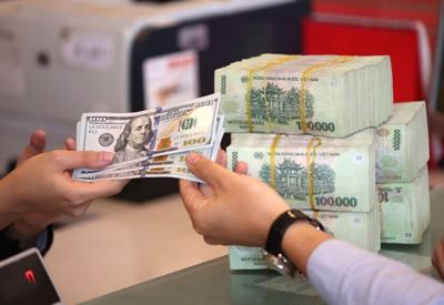 Tỷ giá USD/VND xuống thấp, Kho bạc Nhà nước tăng mua ngoại tệ